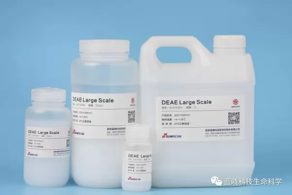 DEAE Large Scale